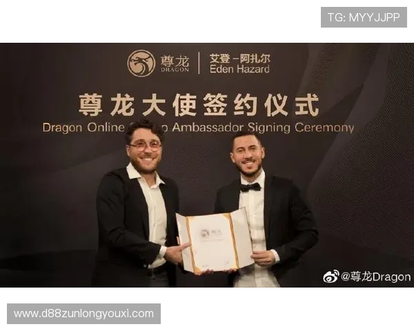 z6尊龙集团的财务状况与投资前景全面分析 z6尊龙集团的财务状况与投资前景全面分析