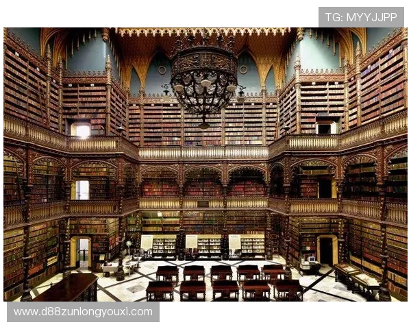 揭开D88尊龙网站的游戏奖金体系与活动规则