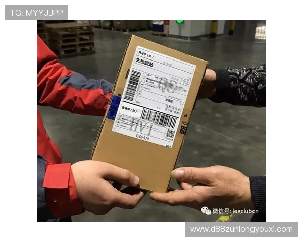 如何在尊龙z6中国官网安全充值及账号保护，保障你的游戏资产安全与隐私安全