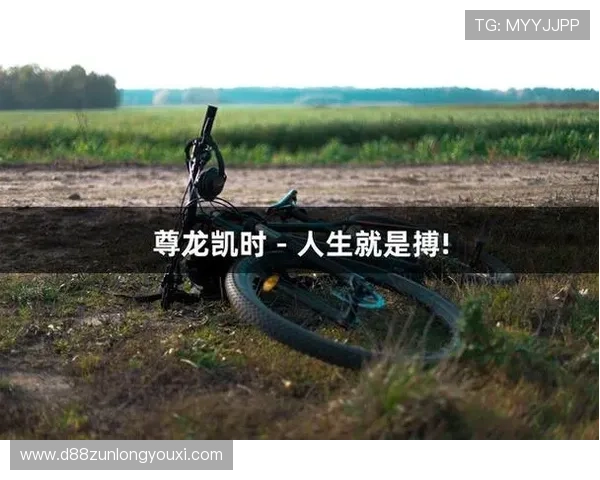 尊龙开始凯时人生就是博z6：结合实际案例分析，助你在游戏中实现人生价值最大化