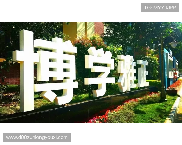 尊龙人生就是博新版带你领略人生的无限可能与精彩人生的全新体验